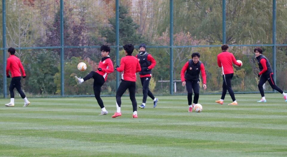 先后以, bt 先后以, bt